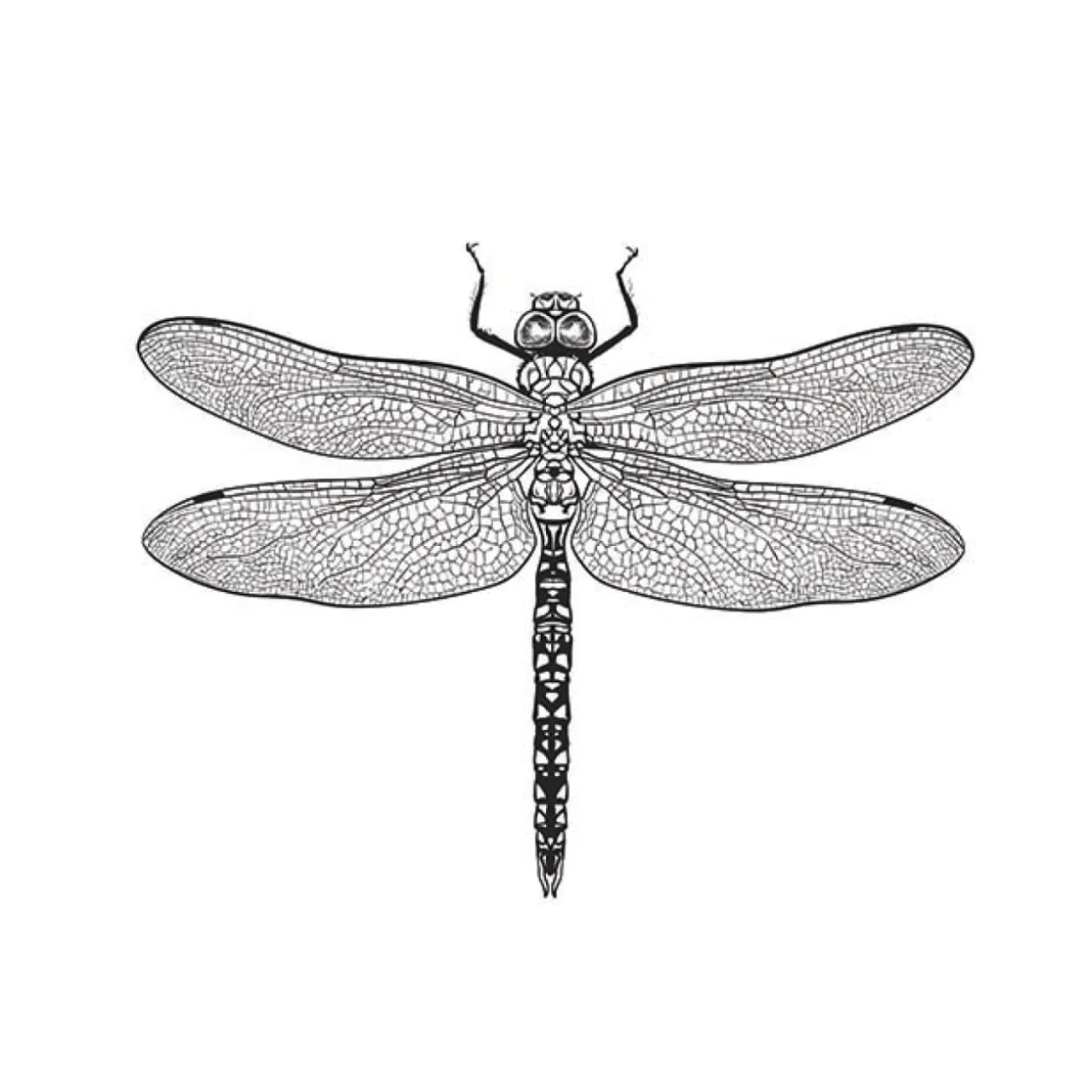 Lautasliina Kotikulta 33 x 33 cm kevät