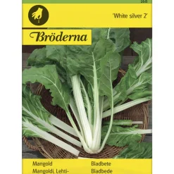 Lehtimangoldi White silver siemen Bröderna Nelsons
