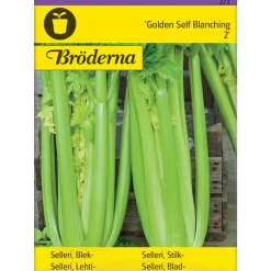 Lehtiselleri Golden Self Blanching siemen Bröderna Nelsons