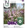 Leijonankita siemen Nelson Garden Basic Lucky Lips