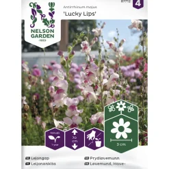 Leijonankita siemen Nelson Garden Basic Lucky Lips