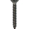 Levyruuvi Arctic Marine DIN7982 5,5x32 A4, 12 kpl