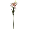 Lilja Kotikulta 58 cm