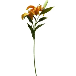 Lilja Kotikulta 58 cm