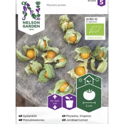 Mansikkakoiso siemen Nelson Garden Basic Organic