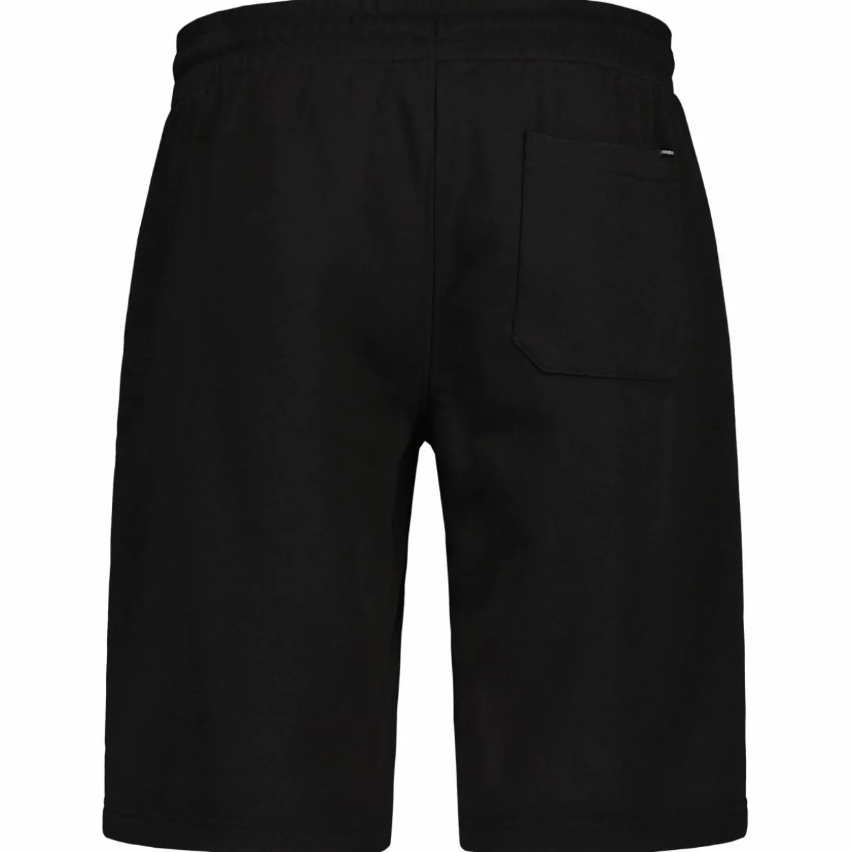 Miesten collegeshortsit Catmandoo