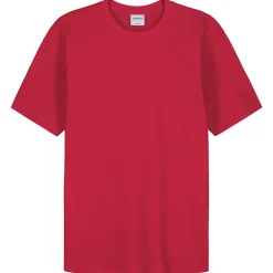 Miesten T-paita Pantoneclo