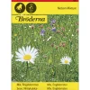 Niittykukkaseos siemen Bröderna Nelsons