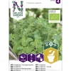 Oregano/ Mäkimeirami siemen Nelson Garden Basic Organic
