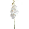 Orkideaoksa Kotikulta 94 cm valkoinen