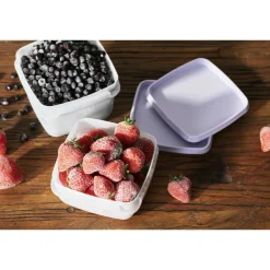 Pakastusrasia SmartStore 4 x 0,75 l Frost laventeli