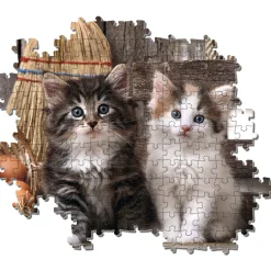Palapeli Clementoni 1000 palaa Lovely Kittens