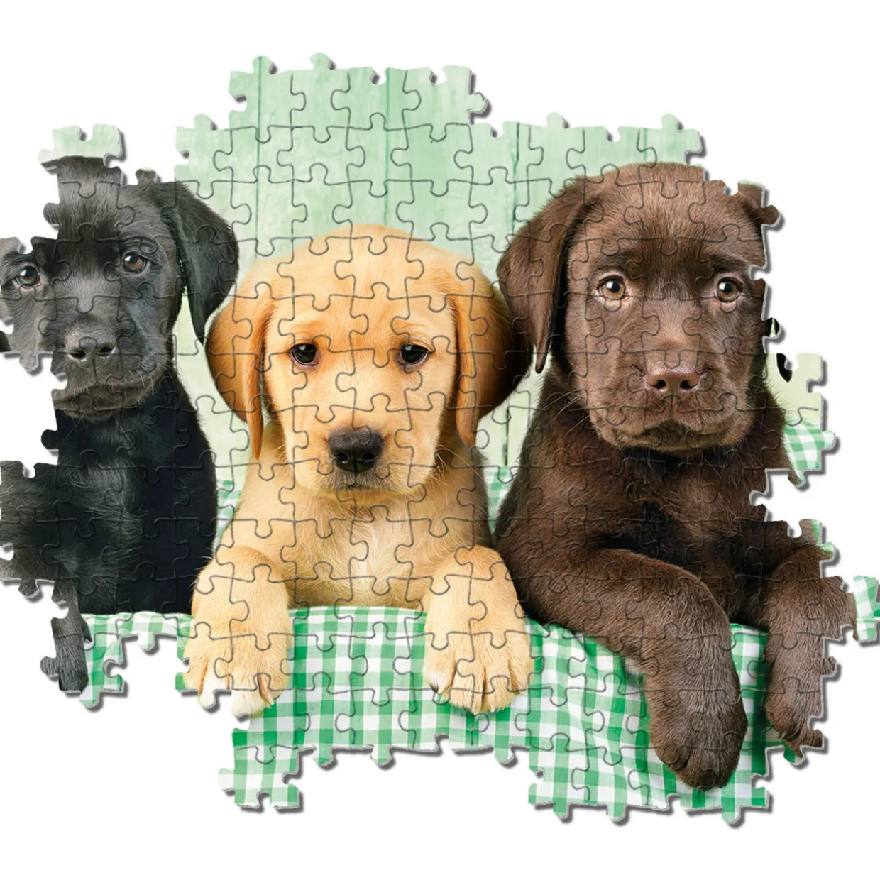 Palapeli Clementoni 1000 palaa Three Labrador
