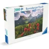 Palapeli Ravensburger 500 palaa Spikes