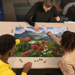 Palapeli Ravensburger 500 palaa Spikes