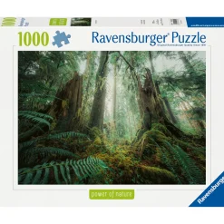 Palapeli Ravensburger 1000 palaa Japanese Garden Teahouse Kyoto