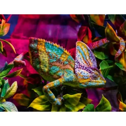 Palapeli Ravensburger 4000 palaa Underwater