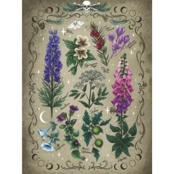 Palapeli Ravensburger 1000 palaa Huntington Desert Garden