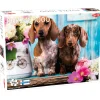 Palapeli Tactic 1000 palaa Dashing Dachshunds