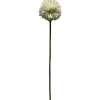 Pallokrysanteemi Kotikulta 62 cm