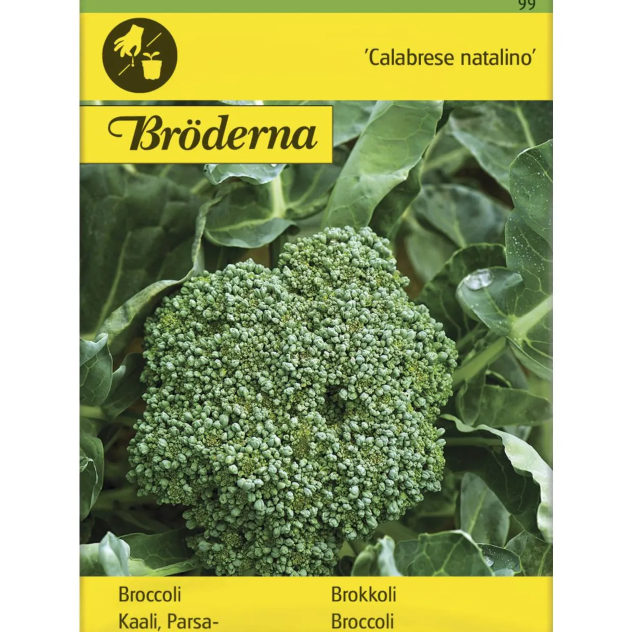 Parsakaali Calabrese natalino siemen Bröderna Nelsons