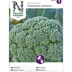 Parsakaali siemen Nelson Garden Basic Calabrese natalino