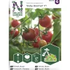 Pensastomaatti siemen Nelson Garden Basic Baby Boomer F1