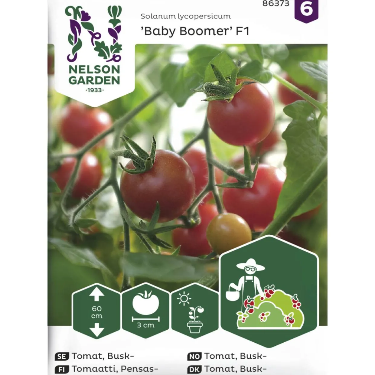 Pensastomaatti siemen Nelson Garden Basic Baby Boomer F1