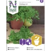 Persilja siemen Nelson Garden Basic sileälehtinen Comun 3