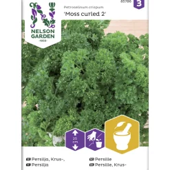 Persilja siemen Nelson Garden Basic Moss Curled 2