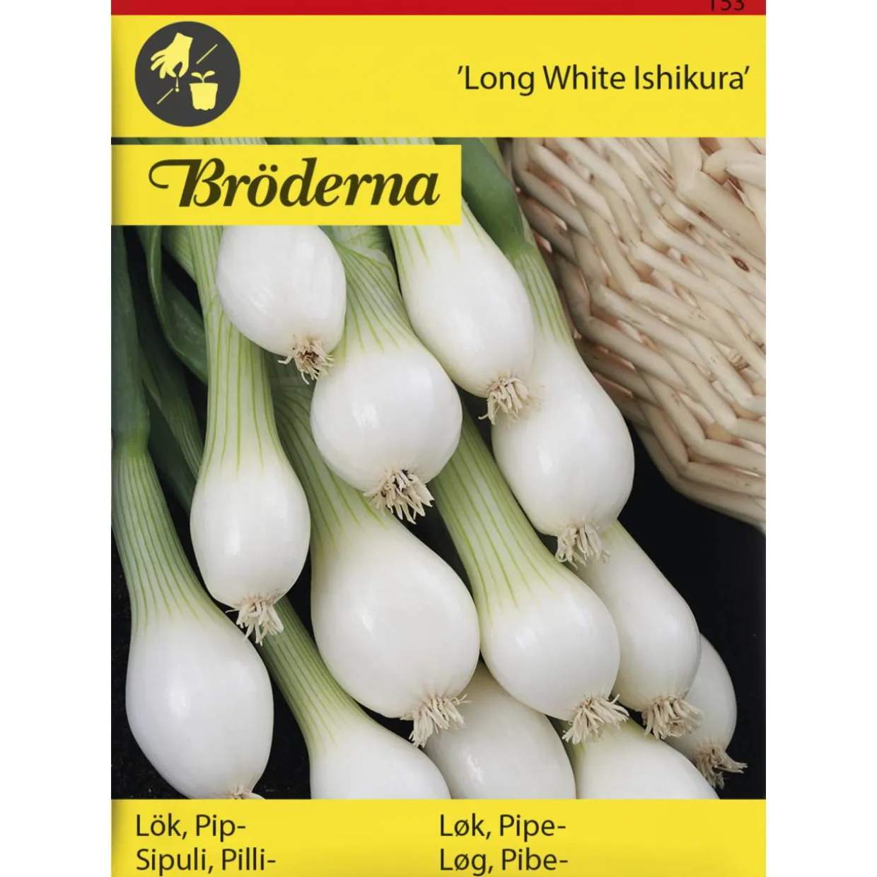 Pillisipuli Long White Ishikura siemen Bröderna Nelsons