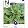 Pinaatti siemen Nelson Garden Basic Matador