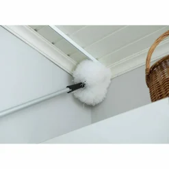 Pölypampula