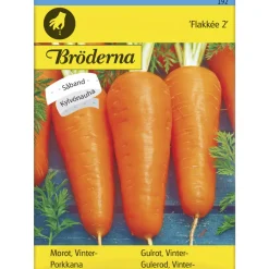 Porkkana Flakkée 2 kylvönauha siemen Bröderna Nelsons