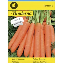 Porkkana Nantaise 2 kylvönauha siemen Bröderna Nelsons