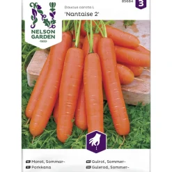 Porkkana siemen Nelson Garden Basic Nantaise 2