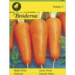 Porkkana Flakkée 2 siemen Bröderna Nelsons