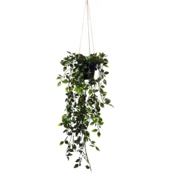 Posliinikukkaköynnös Kotikulta 65 cm