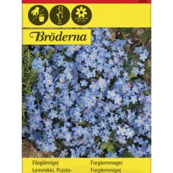 Puistolemmikki siemen Bröderna Nelsons