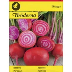 Punajuuri Choggia raita siemen Bröderna Nelsons