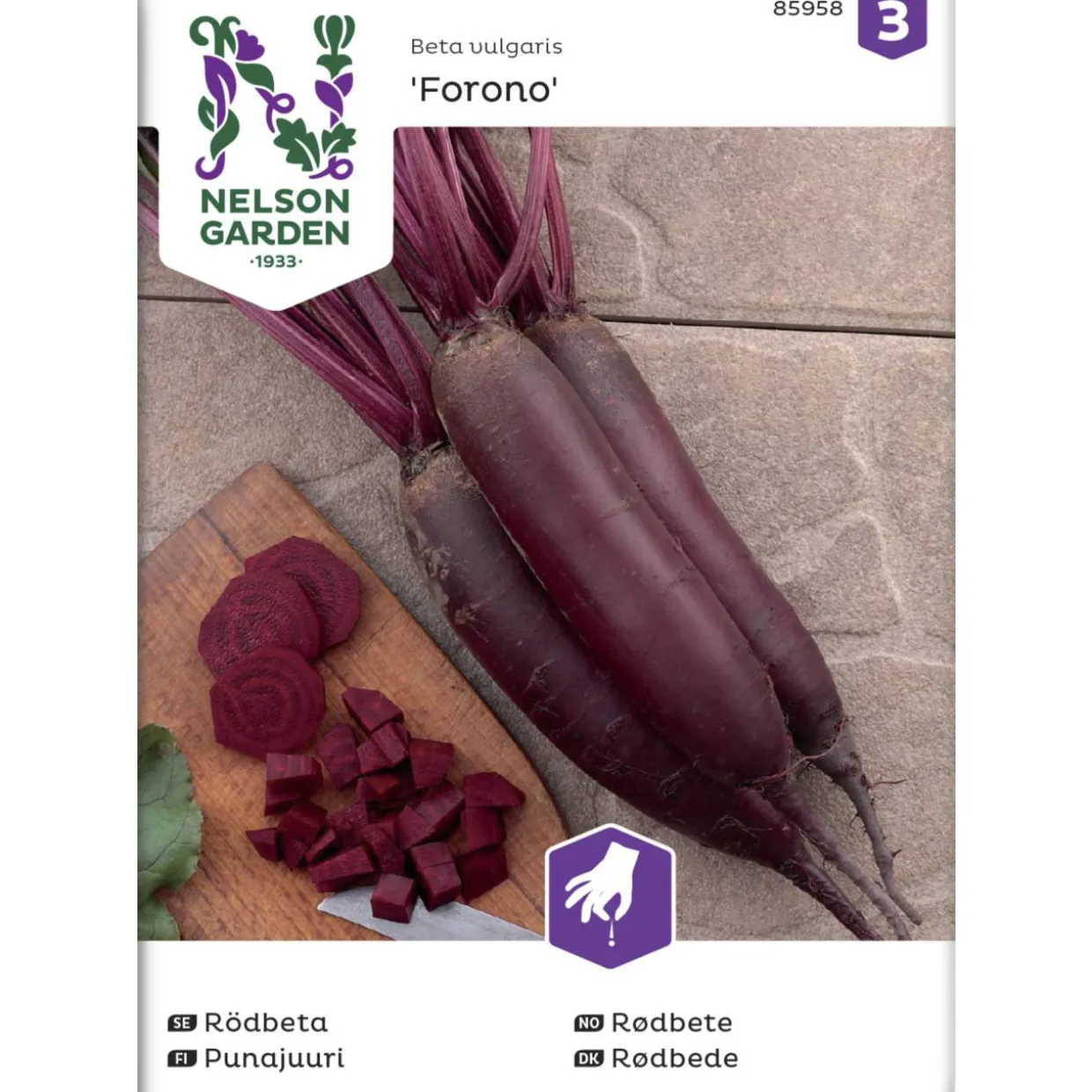 Punajuuri siemen Nelson Garden Basic Forono pitkä