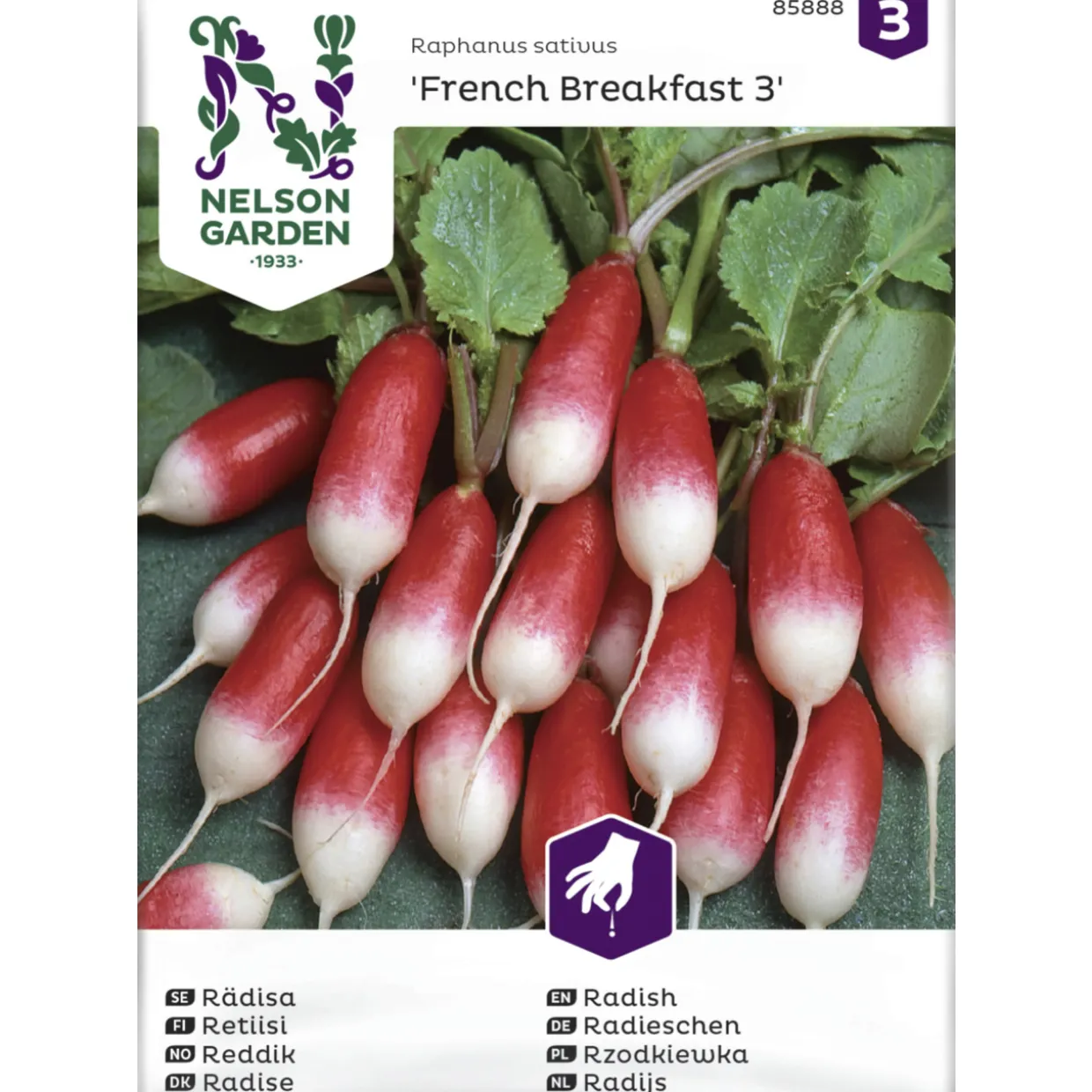 Retiisi siemen Nelson Garden Basic French Breakfast 3