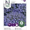 Riippalobelia siemen Nelson Garden Basic Saphir