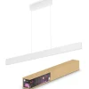 Riippuvalaisin Philips Hue Ensis 2x39W 24V, valkoinen