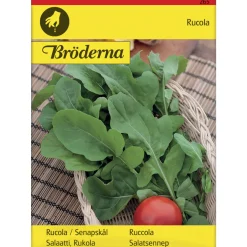 Rukolasalaatti siemen Bröderna Nelsons