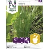 Ruohosipuli siemen Nelson Garden Basic Tavallinen Dolores