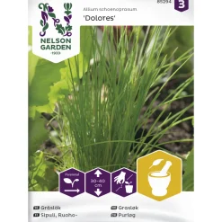 Ruohosipuli siemen Nelson Garden Basic Tavallinen Dolores