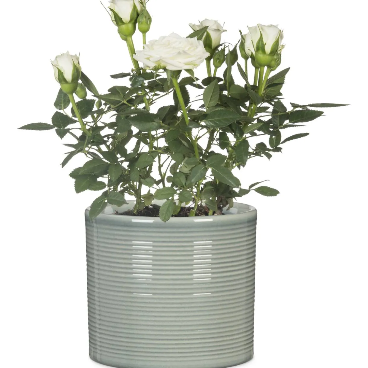 Ruukku Scheurich 828 14 cm salvianvihreä