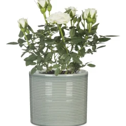 Ruukku Scheurich 828 19 cm salvianvihreä