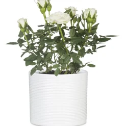 Ruukku Scheurich 828 14 cm valkoinen